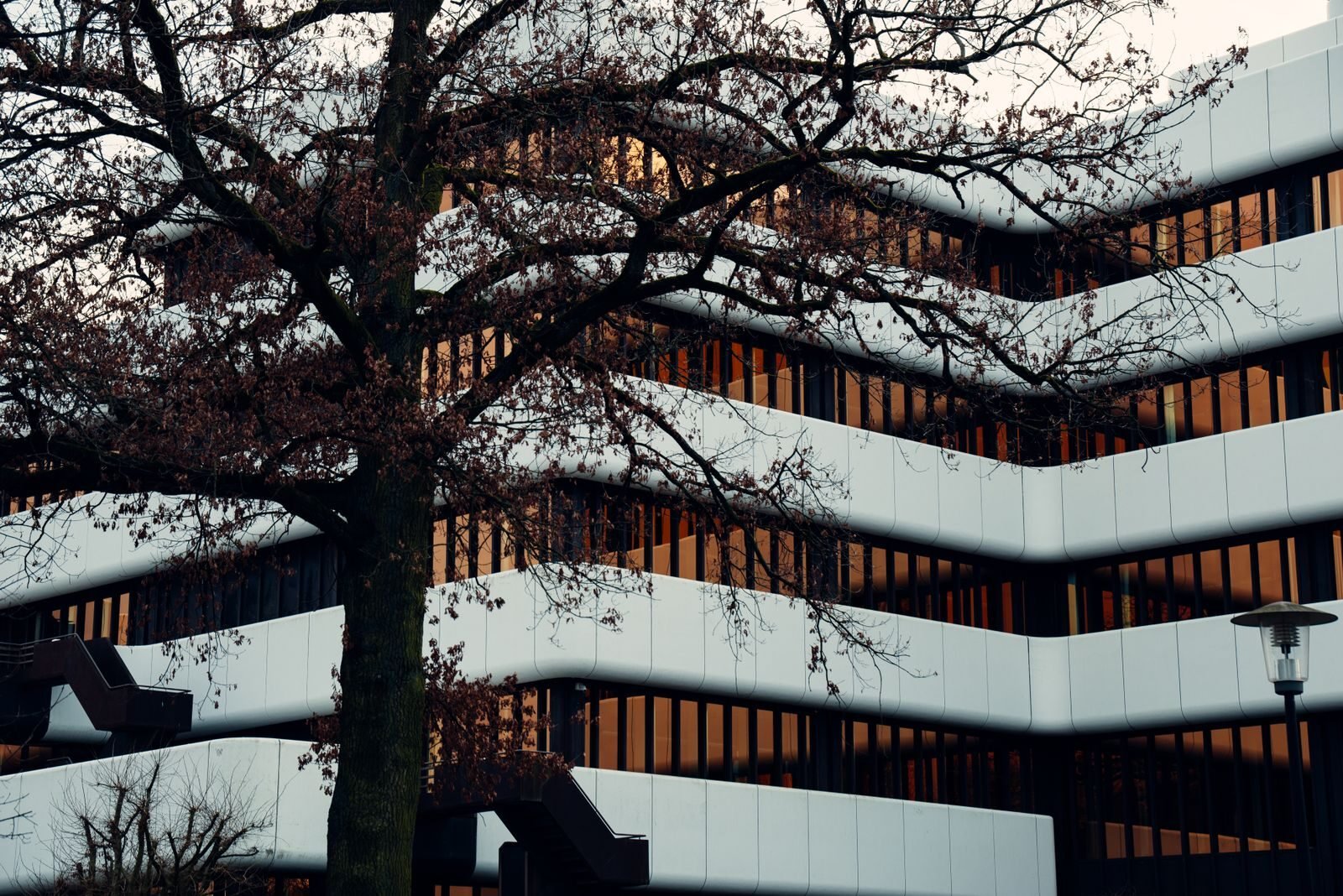 BRANCH / LIAISON / PROJECT OFFICE