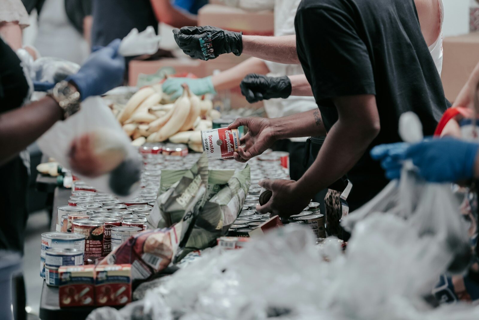 SECTION 8 / NON-PROFIT COMPANY REGISTRATION